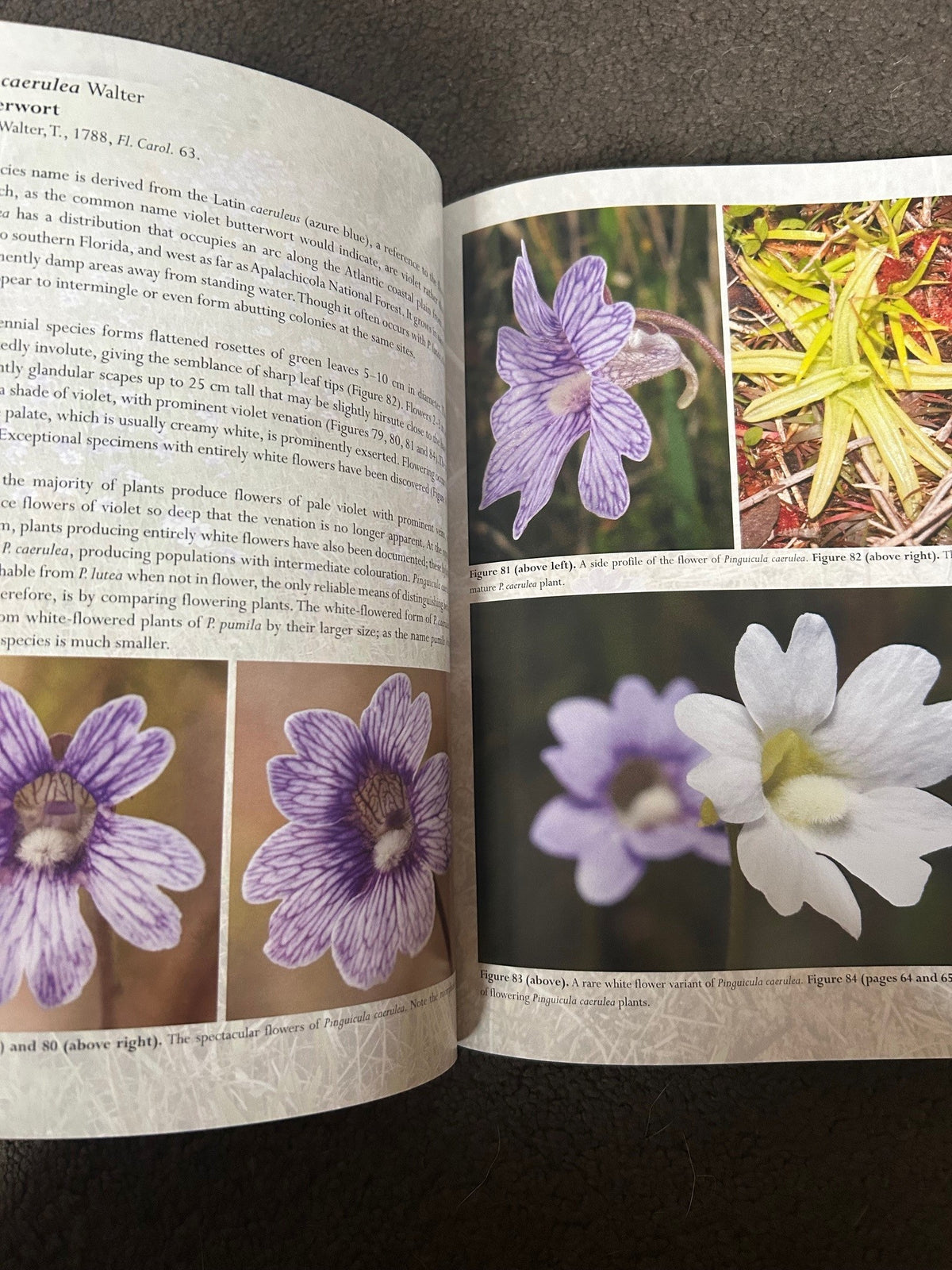 Field Guide to the Carnivorous Plants of US and Canada, Stewart McPher ...