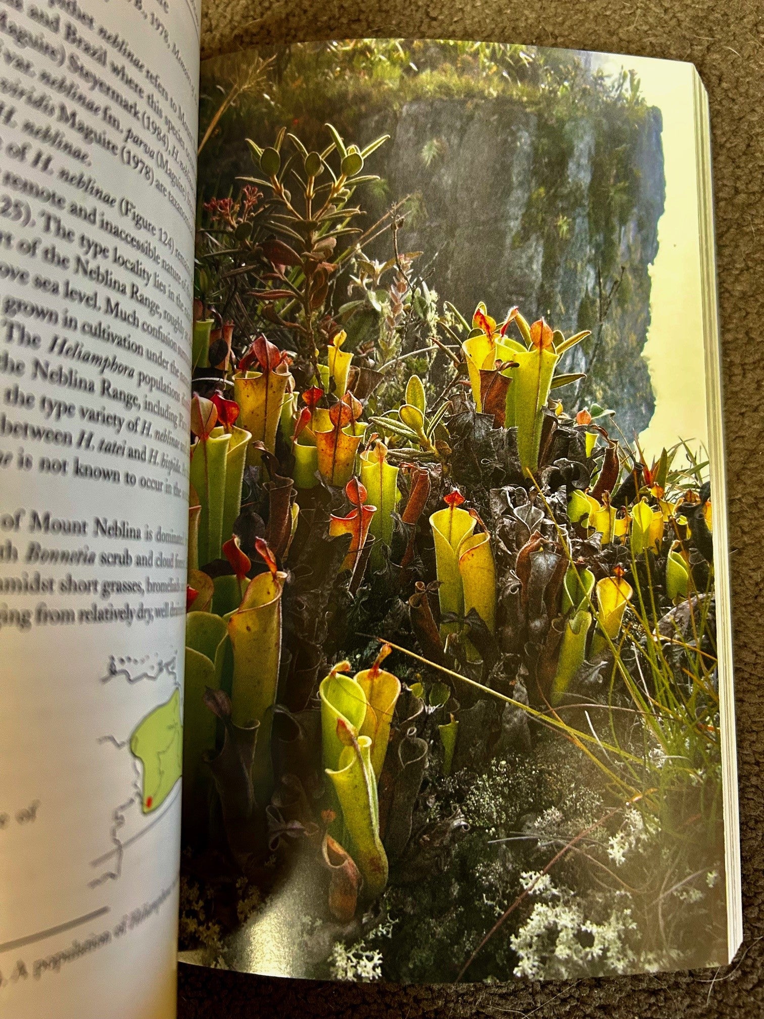 Pitcher Plants of the Americas, Stewart McPherson 2007