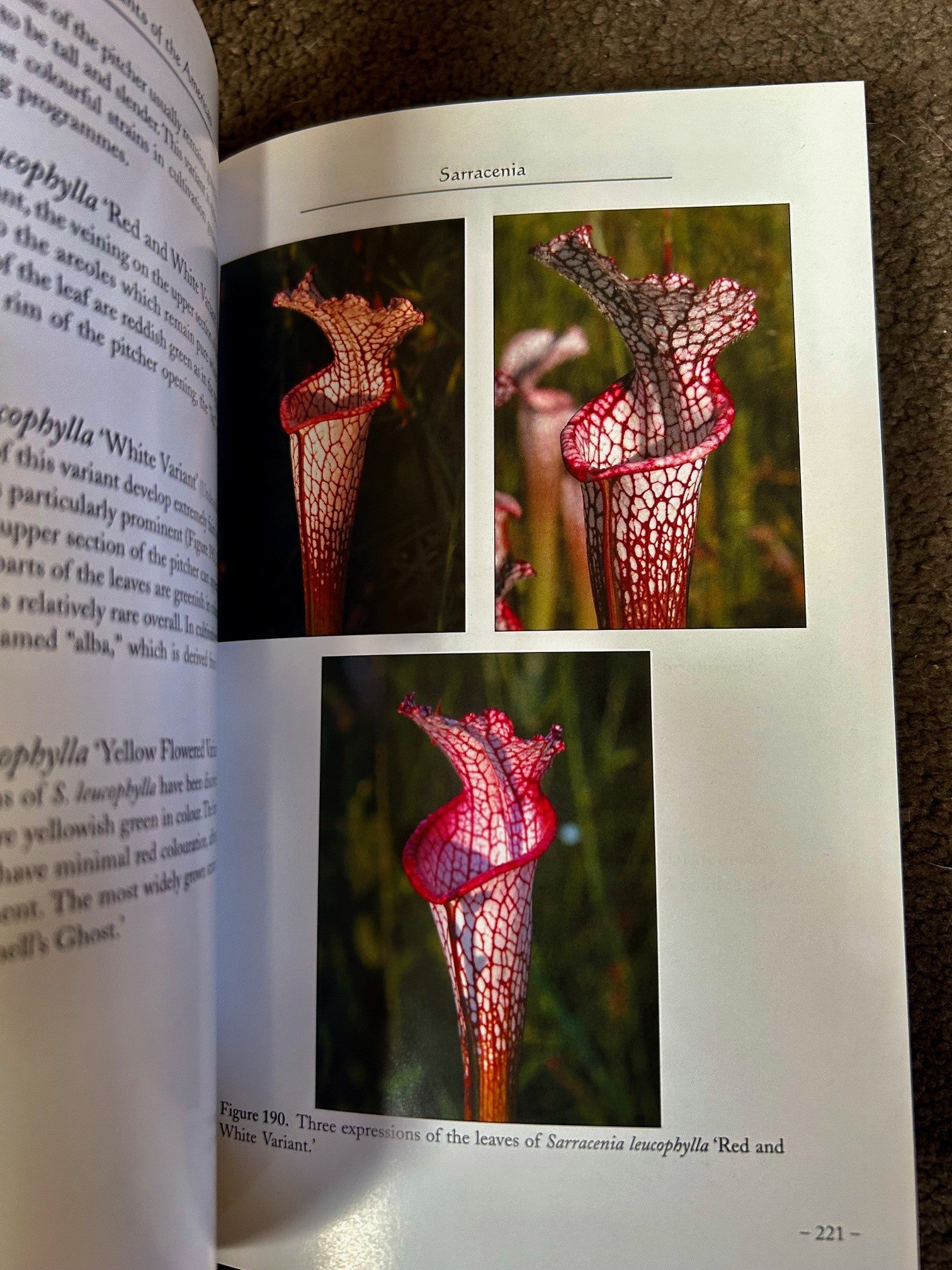 Pitcher Plants of the Americas, Stewart McPherson 2007