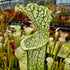 Sarracenia leucophylla var. leucophylla - Bens Bog, Baldwin Co., Alabama
